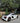 Audi R8 Gen2 GT4 Wing Carbon fiber - SRM Autosports